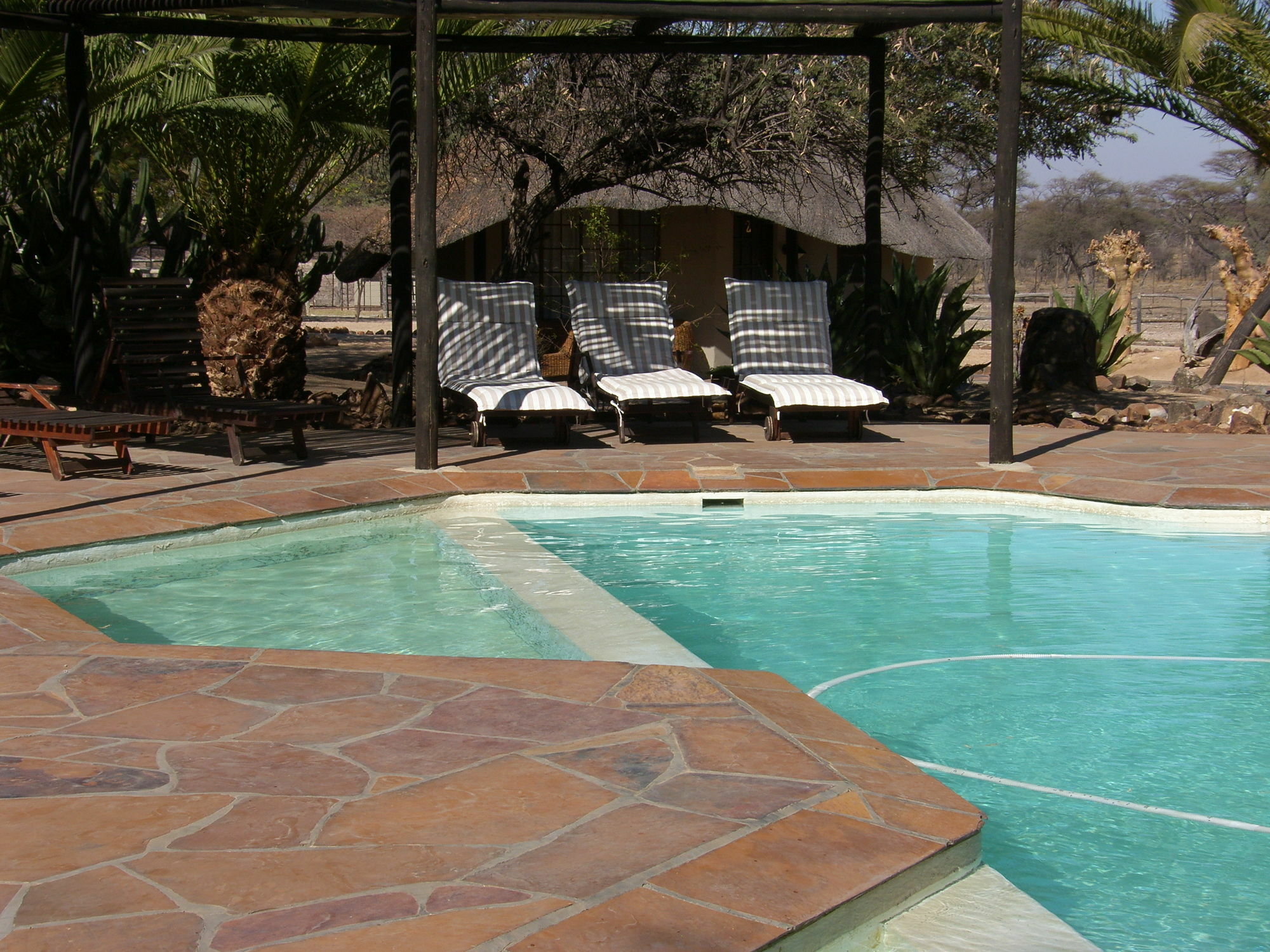 Roidina Safari Lodge Omaruru Dış mekan fotoğraf