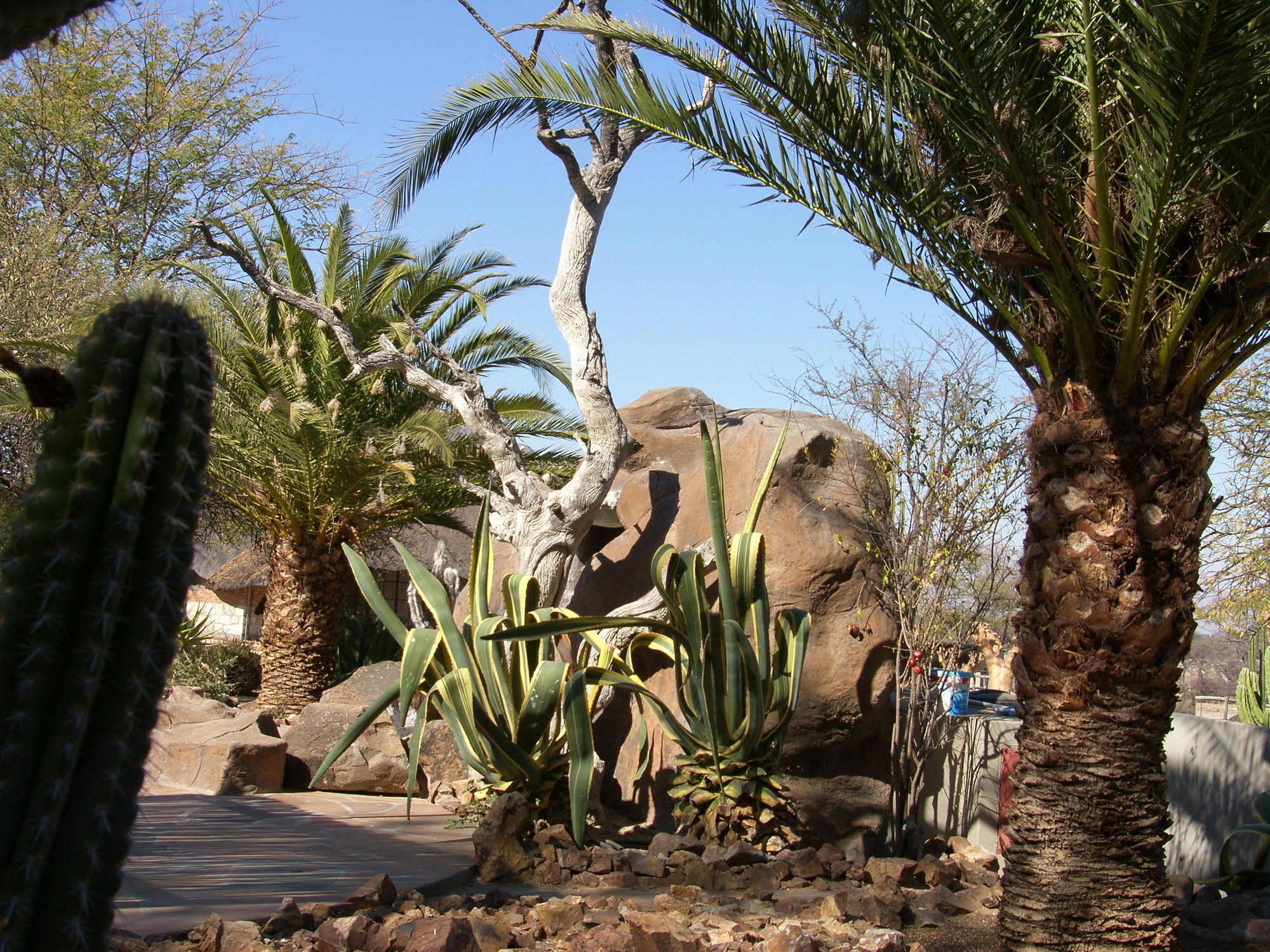 Roidina Safari Lodge Omaruru Dış mekan fotoğraf